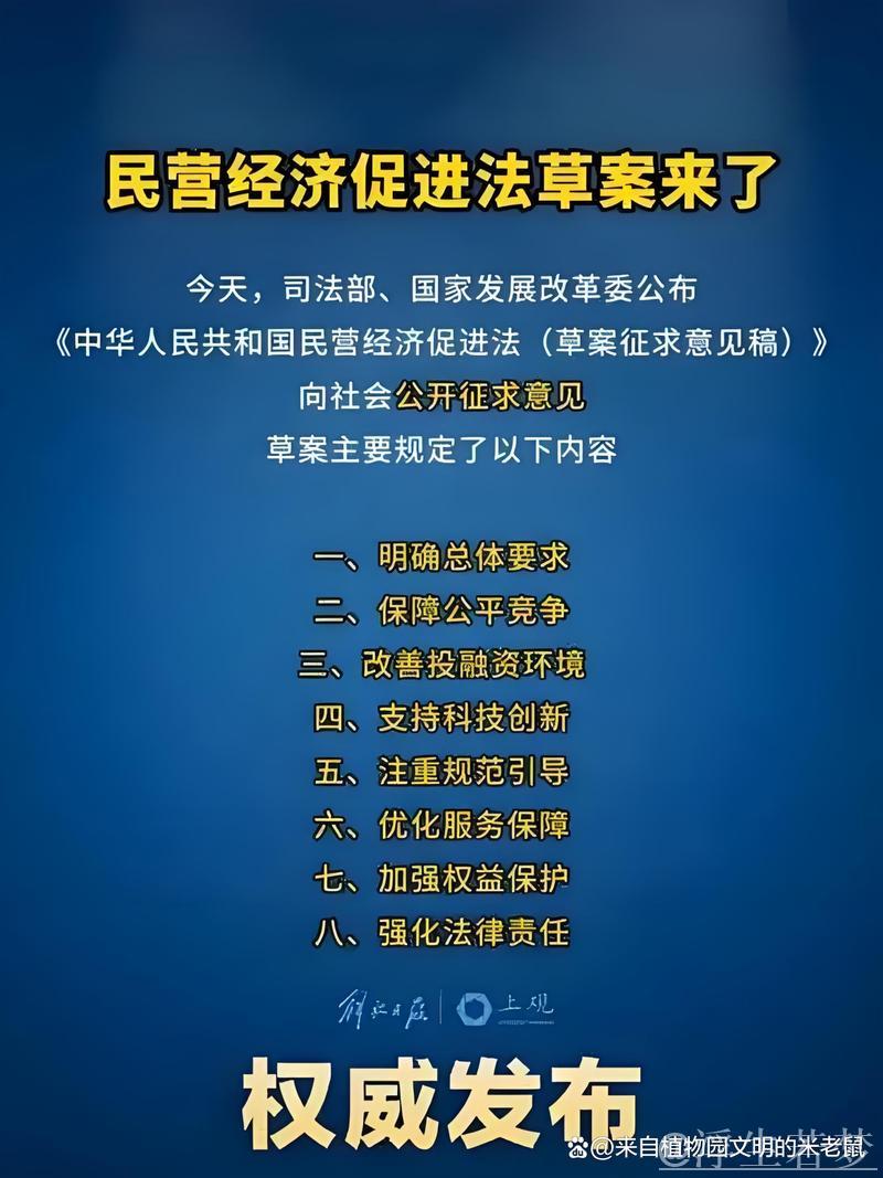 以高水平法治护航民营经济发展 以高水平法治护航民营经济发展